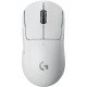 Logitech G PRO X SUPERLIGHT Wireless Gaming Mouse souris Droitier RF sans fil 25400 DPI