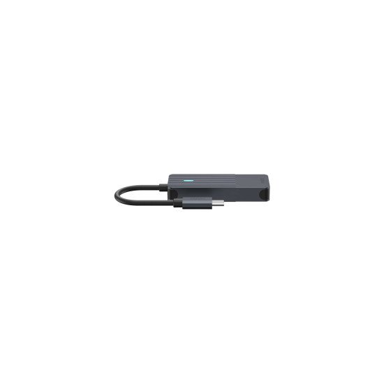 Rapoo UCH-4002 carte et adaptateur d'interfaces USB Type-C