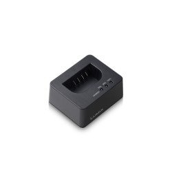Panasonic DMW-BTC15EB chargeur de batterie Batterie de caméra numérique Secteur, USB Panasonic DMW-BTC15EB chargeur de batterie Batterie de caméra numérique Secteur, USB