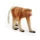 schleich WILD LIFE Nasique schleich WILD LIFE Nasique