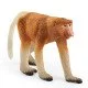 schleich WILD LIFE Nasique schleich WILD LIFE Nasique