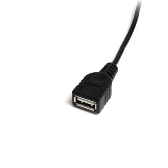 StarTech.com Câble Mini USB 2.0 de 30cm - USB A vers Mini B - F/M