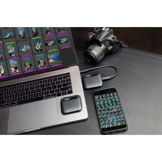 Crucial X6 500 Go Noir Crucial X6 500 Go Noir