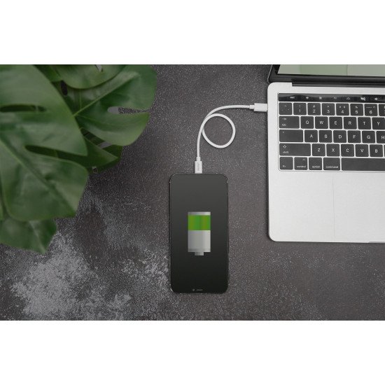 Digitus Câble de données/de charge, Lightning USB-C™, MFI, 1 m Digitus Câble de données/de charge, Lightning USB-C™, MFI, 1 m