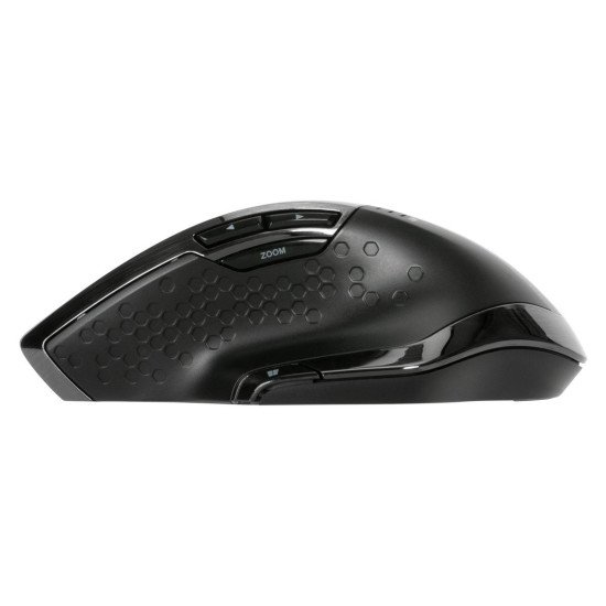 Targus AMW584GL souris Droitier RF sans fil Blue Trace 1600 DPI