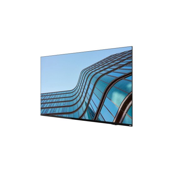 Lenovo ThinkVision E55 LFD écran PC 138,7 cm (54.6") 3840 x 2160 pixels 4K Ultra HD IPS Noir