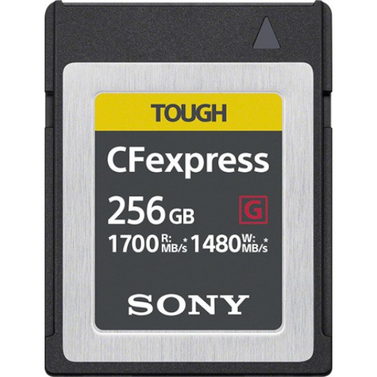 Sony CEB-G256 mémoire flash 256 Go Carte PC