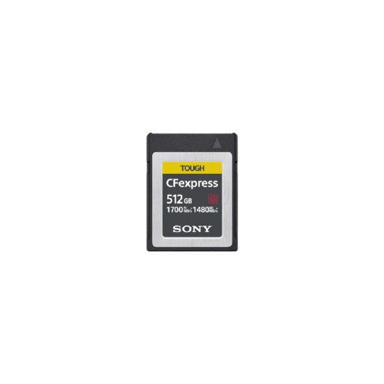 Sony CEB-G512 512 Go Carte PC