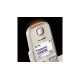 Panasonic KX-TGE250 Téléphone DECT Identification de l'appelant Champagne, Or