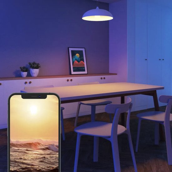 Govee H6009 Ampoule intelligente Wi-Fi/Bluetooth 12 W