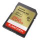 SanDisk Extreme GO 256 Go SDXC UHS-I