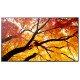 Sharp MultiSync M552 Écran plat de signalisation numérique 139,7 cm (55") LCD 550 cd/m² 4K Ultra HD Noir Écran tactile