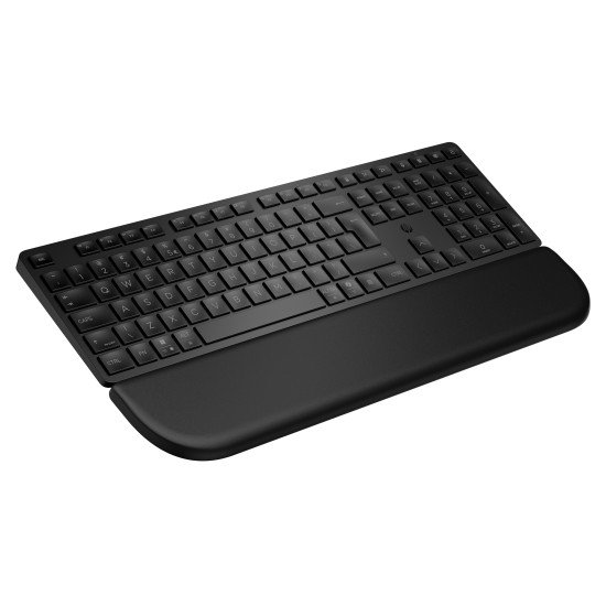 HP Multi-DevDual-ModeKBDwPlm EMEA-INTL E clavier Noir