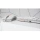 CHERRY DW 9100 SLIM clavier RF sans fil + Bluetooth QWERTZ Argent CHERRY DW 9100 SLIM clavier RF sans fil + Bluetooth QWERTZ Argent