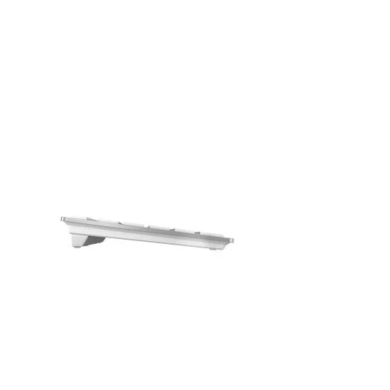 CHERRY DW 9100 SLIM clavier RF sans fil + Bluetooth QWERTZ Argent CHERRY DW 9100 SLIM clavier RF sans fil + Bluetooth QWERTZ Argent