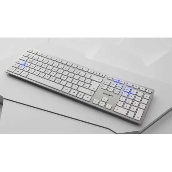 CHERRY DW 9100 SLIM clavier RF sans fil + Bluetooth QWERTZ Argent CHERRY DW 9100 SLIM clavier RF sans fil + Bluetooth QWERTZ Argent