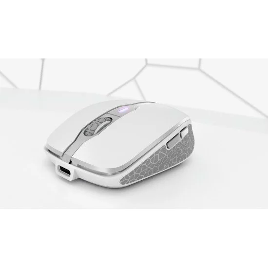 CHERRY DW 9100 SLIM clavier RF sans fil + Bluetooth QWERTZ Argent CHERRY DW 9100 SLIM clavier RF sans fil + Bluetooth QWERTZ Argent