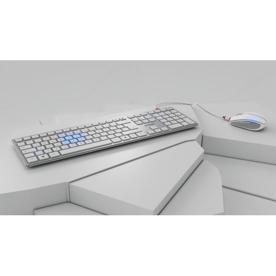 CHERRY DW 9100 SLIM clavier RF sans fil + Bluetooth QWERTZ Argent