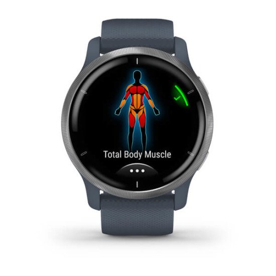 Garmin Venu 2 3,3 cm (1.3") AMOLED 45 mm Argent GPS (satellite)