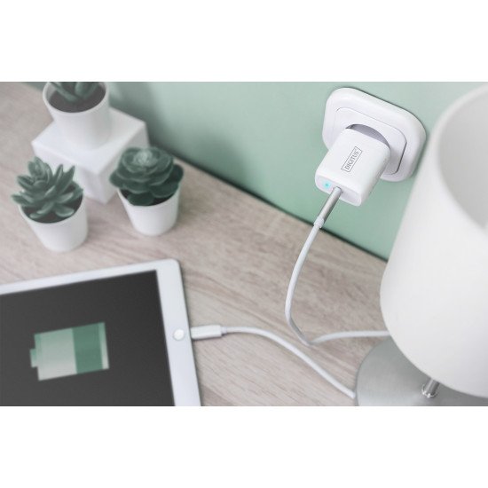 Digitus Adaptateur de charge universel, USB-C™, 20 W