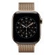 Apple MGHW4ZM/A accessoire intelligent à porter sur soi Bande Or Acier inoxydable Apple MGHW4ZM/A accessoire intelligent à porter sur soi Bande Or Acier inoxydable