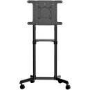 StarTech.com Chariot Meuble TV - Support TV sur Roulettes Portable pour Écrans VESA 37-70" (70kg) - Pied TV avec Étagère de Rangement - Inclinable - Gabarit de Montage Universel Télévision StarTech.com Chariot Meuble TV - Support TV sur Roulettes Portable pour Écrans VESA 37-70" (70kg) - Pied TV avec Étagère de Rangement - Inclinable - Gabarit de Montage Universel Télévision