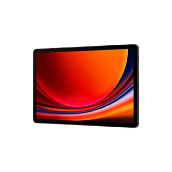 Samsung Galaxy Tab S9 SM-X716B 5G 256 Go 27,9 cm (11") Qualcomm Snapdragon 12 Go Wi-Fi 6 (802.11ax) Android 13 Graphite