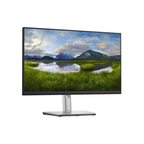 DELL P2422HE écran PC 23.8" 1920 x 1080 pixels Full HD LCD Noir