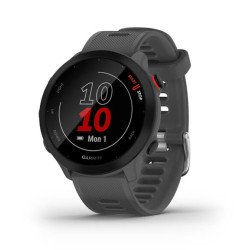 Garmin 010-02562-13 smartwatche et montre de sport MIP 42 mm Gris GPS (satellite) Garmin 010-02562-13 smartwatche et montre de sport MIP 42 mm Gris GPS (satellite)
