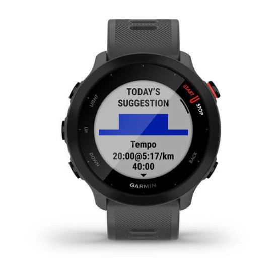 Garmin 010-02562-13 smartwatche et montre de sport MIP 42 mm Gris GPS (satellite)