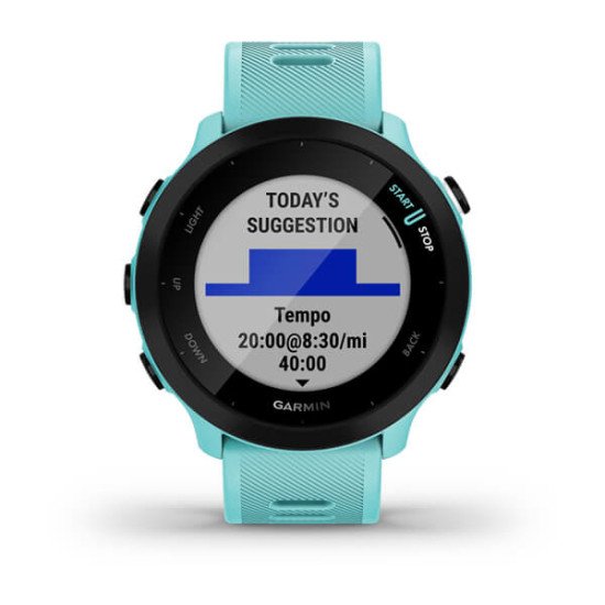 Garmin Forerunner 55 2,64 cm (1.04") MIP GPS (satellite)