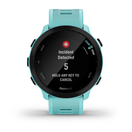 Garmin Forerunner 55 2,64 cm (1.04") MIP GPS (satellite)