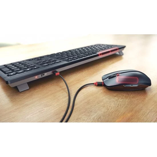 CHERRY Stream Desktop Recharge clavier RF sans fil AZERTY Français Noir CHERRY Stream Desktop Recharge clavier RF sans fil AZERTY Français Noir