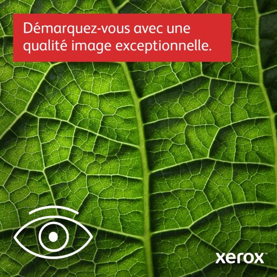 Xerox B310 Imprimante recto verso sans fil A4 40 ppm, PS3 PCL5e/6, 2 magasins Total 350 feuilles, UK Xerox B310 Imprimante recto verso sans fil A4 40 ppm, PS3 PCL5e/6, 2 magasins Total 350 feuilles, UK