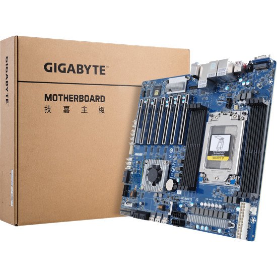 Gigabyte MC62-G40 AMD WRX80 Emplacement sWRX8 SSI CEB