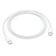 Apple MM093ZM/A câble USB 1 m USB C Blanc Apple MM093ZM/A câble USB 1 m USB C Blanc