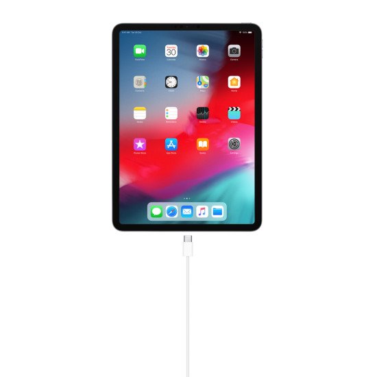 Apple MM093ZM/A câble USB 1 m USB C Blanc Apple MM093ZM/A câble USB 1 m USB C Blanc