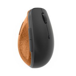 Lenovo Go souris Droitier RF sans fil Optique 2400 DPI Lenovo Go souris Droitier RF sans fil Optique 2400 DPI