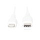 ASSMANN Electronic DB-600109-010-W câble Lightning 1 m Blanc