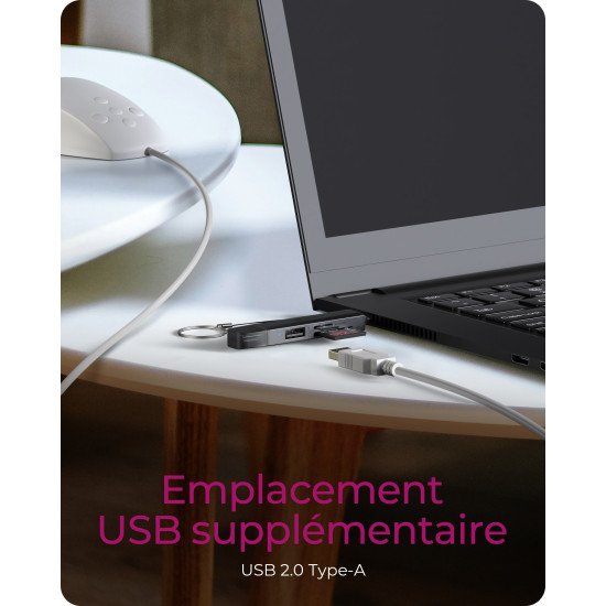 ICY BOX Lecteur de cartes 3 en 1 via l'interface USB Type-A & USB Type-C