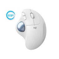 Logitech Ergo M575 for Business souris Droitier RF Sans fil + Bluetooth Trackball 2000 DPI