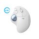 Logitech Ergo M575 for Business souris Droitier RF Sans fil + Bluetooth Trackball 2000 DPI