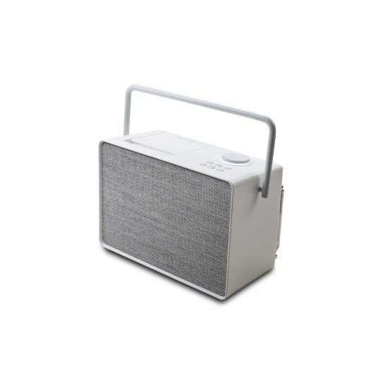 Pure 00-12120-00 enceinte portable Enceinte portable mono Gris 40 W