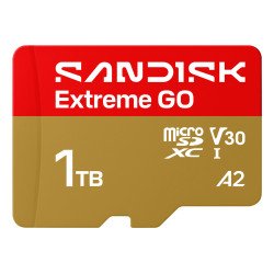 SanDisk Extreme GO 1 To MicroSDXC UHS-I