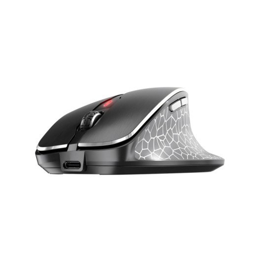 CHERRY MW 8C ERGO souris Droitier RF Sans fil + Bluetooth Optique 3200 DPI