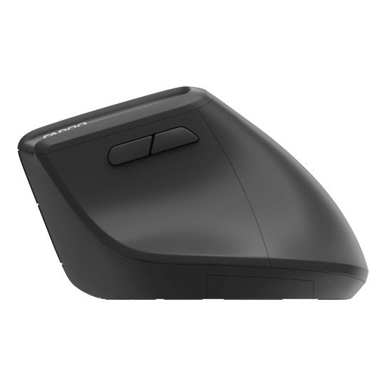 Rapoo EV310M souris Bureau Droitier RF sans fil + Bluetooth Optique 2400 DPI