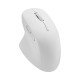 Rapoo M50 Plus souris Droitier RF sans fil Optique 3600 DPI