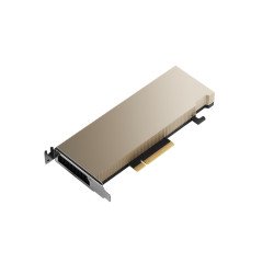 PNY A2 NVIDIA 16 Go GDDR6 PNY A2 NVIDIA 16 Go GDDR6