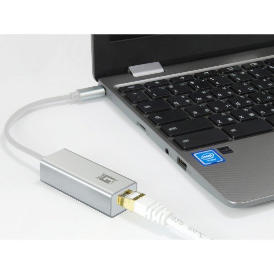 LevelOne USB-0402 carte réseau Ethernet 1000 Mbit/s