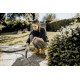 Karcher AG KWD 6 P S V-30/8/22/T 30 L Aspirateur sans sac Sec&humide 1300 W Sans sac